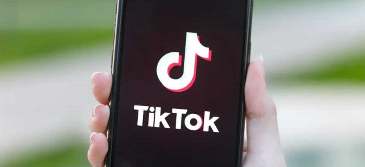 Videor med hashtaggen #gachaexport på TikTok