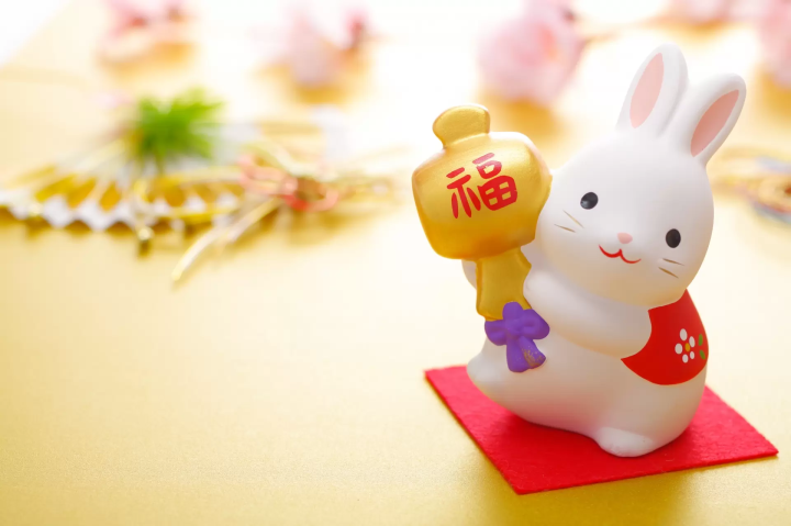 Usagi: Japanese Year of the Rabbit